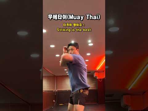 가장 강한 종목은!?