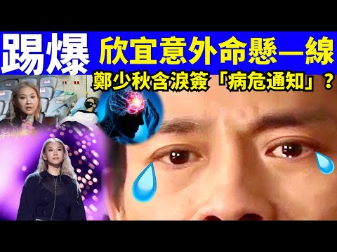 突發 踢爆 鄭欣宜意外受傷命懸一線? 鄭少秋含淚簽病危通知?Smart Travel《城市熱話》  #網絡安全及科技罪案調查科  #翁靜晶何志華尋妻 #何伯何太  #女神配對計劃梁敏巧Benz壯男