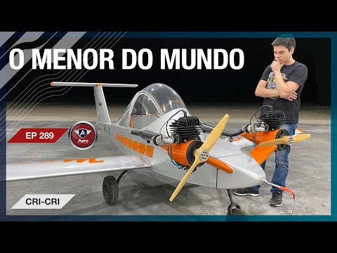 Avião com MOTOR DE MOTO - O CRI-CRI é o MENOR BIMOTOR DO MUNDO