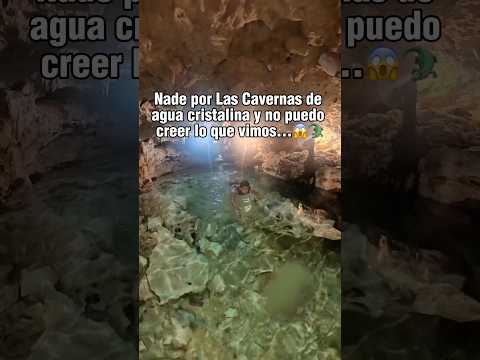 Vine a un cenote en Tulum y había un cocodrilo😱