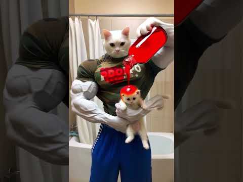 HELP THIS CUTE CAT BABY ๐ #viralvideo #cat #aicat #shortsvideo