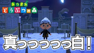 真っ白過ぎる島がキレイすぎる！！[あつまれどうぶつの森]