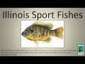 Fishing Knowledge and Techniques