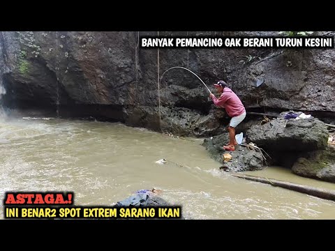 NGERI.!! MANCING TEKNIK BANTING DI SPOT EXTREME DAN ANGKER || IKAN LELENYA PADA NGAMUK BRO