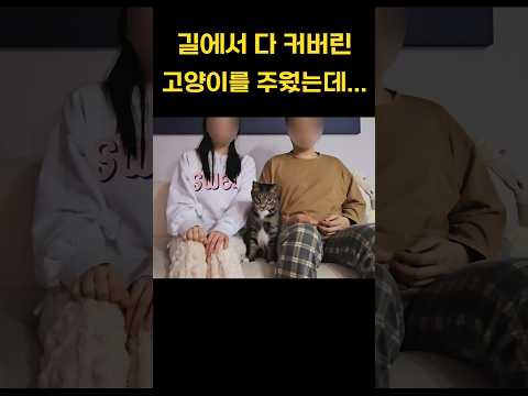 길에서 보물을 주웠다.그것도 아주 큰...ㅋㅋ