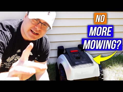 I’m NEVER Mowing My Lawn Again - The Ecovacs Goat!