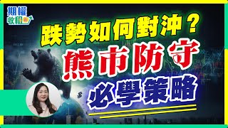 【股災防守術】2大看跌期權策略！教你用 Long Put / Bear Put 減少損失！ 【期權收租寶】2025-08-04 #期權