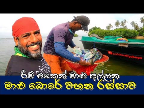 කොරලි බොරේ වහමු | බයිසිකල් රිම් එකෙන් මාලු අල්ලමු | Traditional  fishing | @wishwatiyubaya 👣😲🎣