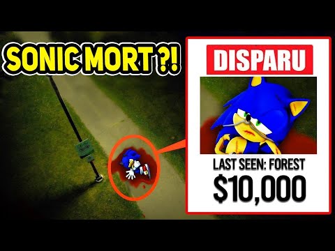 SONIC A DISPARU DEPUIS 24 HEURES !! (OÙ EST-IL ALLÉE ?)