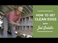 Nesting Practices for Chickens