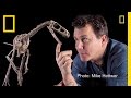 Dawn of Dinosaurs: Eodromaeus Discovery