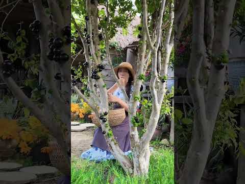Enjoy beautiful nature with rural life # 434