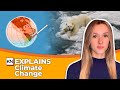 Understanding Climate Change Concepts