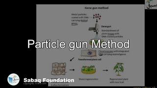 Particle gun Method
