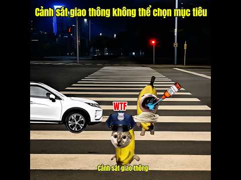 Cảnh sát giao thông không thể chọn mục tiêu #meme #catmeme