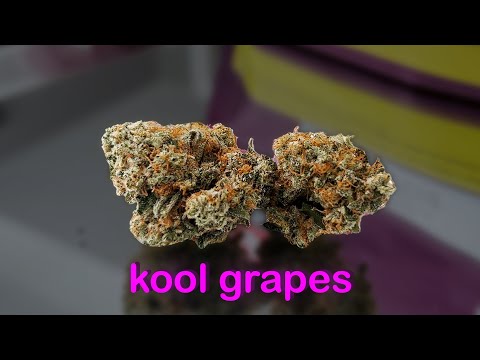 Kool Grapes Marijuana Monday