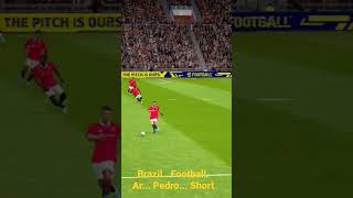 Pedro  the Great  short