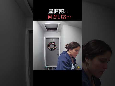屋根裏に何かいる…