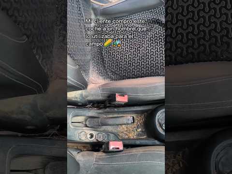 Brutal ANTES vs DESPUÉS Coche de Campo🌽 #detailing #coche #asmr #satisfying