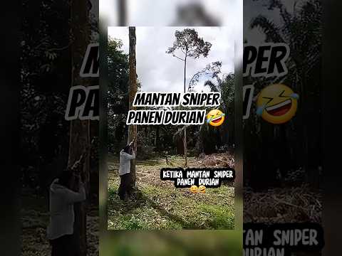 Mantan sniper jadi petani durian, cara panennya gak ribet😆#shortkomedi #lucu #kocak #ngakak #funny