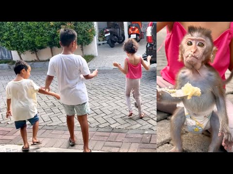 How Exciting Baby Monkey Didi Eats and Plays With New Friends.