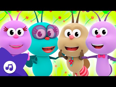 Eccoci Qui, Amici Insetti | Piccoli Insetti | Il Regno dei Bambini