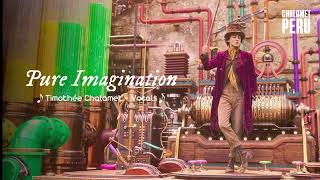 Pure Imagination - Timothée Chalamet [Vocals / Acapella]