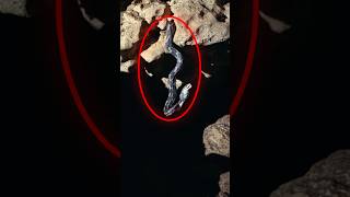 I Found “The Cave of Hanging Snakes” on Google maps