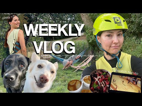 WEEKLY VLOG 🚴/ decyzje na budowie / otwieram bar mleczny xD 🥘/ Gdynia rowerem / Misia 💔