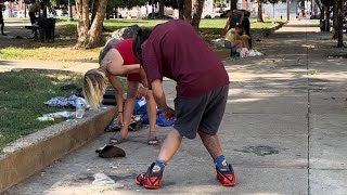 Los Famosos Zombies De Philadelphia