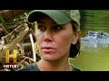 Alligator and Python Interactions