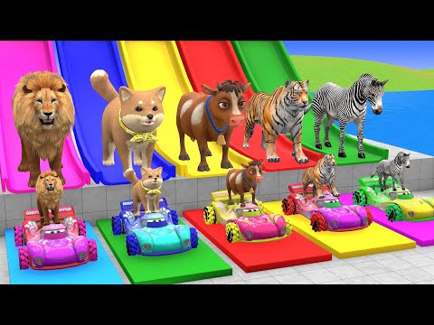 Long Slide Game With Cow Elephant Gorilla Hippopotamus Tiger - 3d Animal Game - Funny 3d Animals