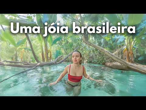 Os incríveis FERVEDOUROS no Jalapão