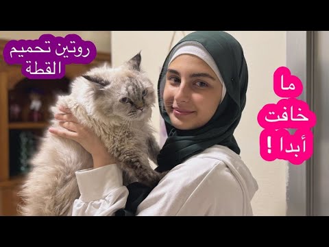 روتين تحميم قطتنا كيوي ! ما خافت من الماي ! زينب /Cat routine - Zeinab