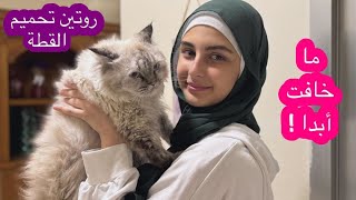 روتين تحميم قطتنا كيوي ! ما خافت من الماي ! زينب /Cat routine - Zeinab