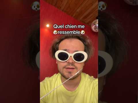 Quel chien me ressemble
