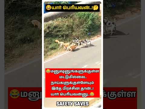 💕அனைவரிடமும் அன்பாயிருப்போம்💕|👷Be kind to all🥰|📢Safety Saves🦺| #shortsfeed