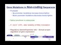 Mutation Types and Effects
