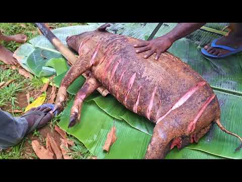 🐖 Mumu Pig Preparation   Bougainville Heritage   Cultural Cooking   Delicious Whisper