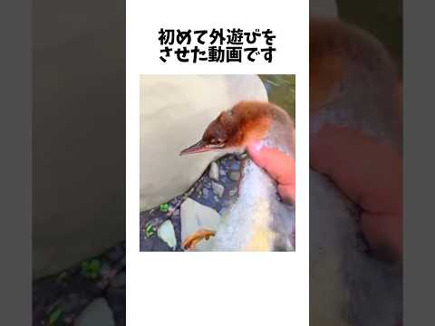 最初で最後の外遊びになってしまいました。