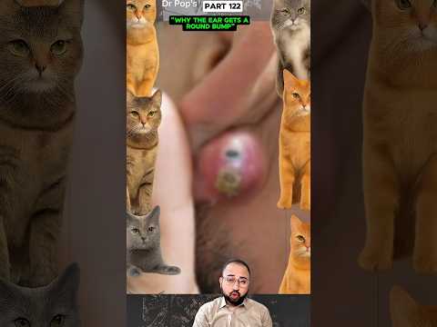 "Why the Ear Gets a Round Bump" #shortsfeed #shorts