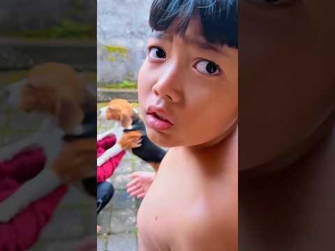 Genta Senja Omang ketemu anjing bagus beagle namanya tory anjingnya ibu yang hilang #wiangfamily