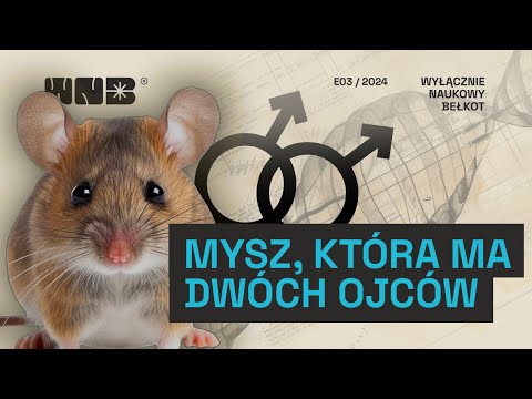 Mysz, która ma dwóch ojców