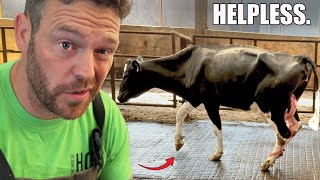 she COULDN'T touch the ground ... and I have a MAJOR ACCIDENT!!