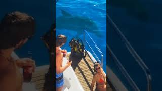 Scuba diving in gta6 #gta #gta6 #gta6leaks