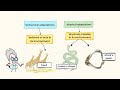 Animal Adaptations and Survival Strategies