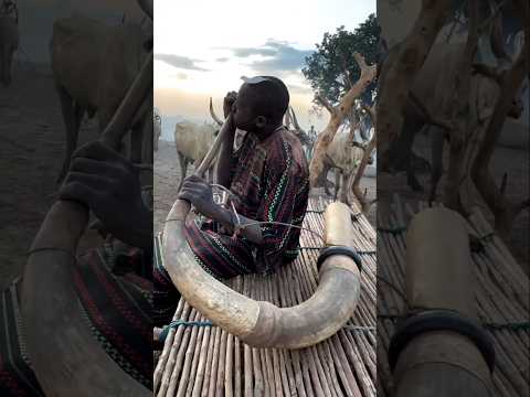 The Magical Horn of the Adivasi Tribe That Controlled Rain #TribalLife