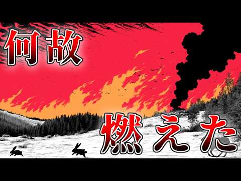 【史上最悪】なぜカリフォルニア州の山火事は発生してしまったのか