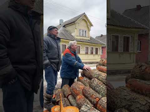 Как мы выпустили лебедя Бориса ❤️ #деревня