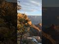 Grand Canyon Adventure and Perspective Change